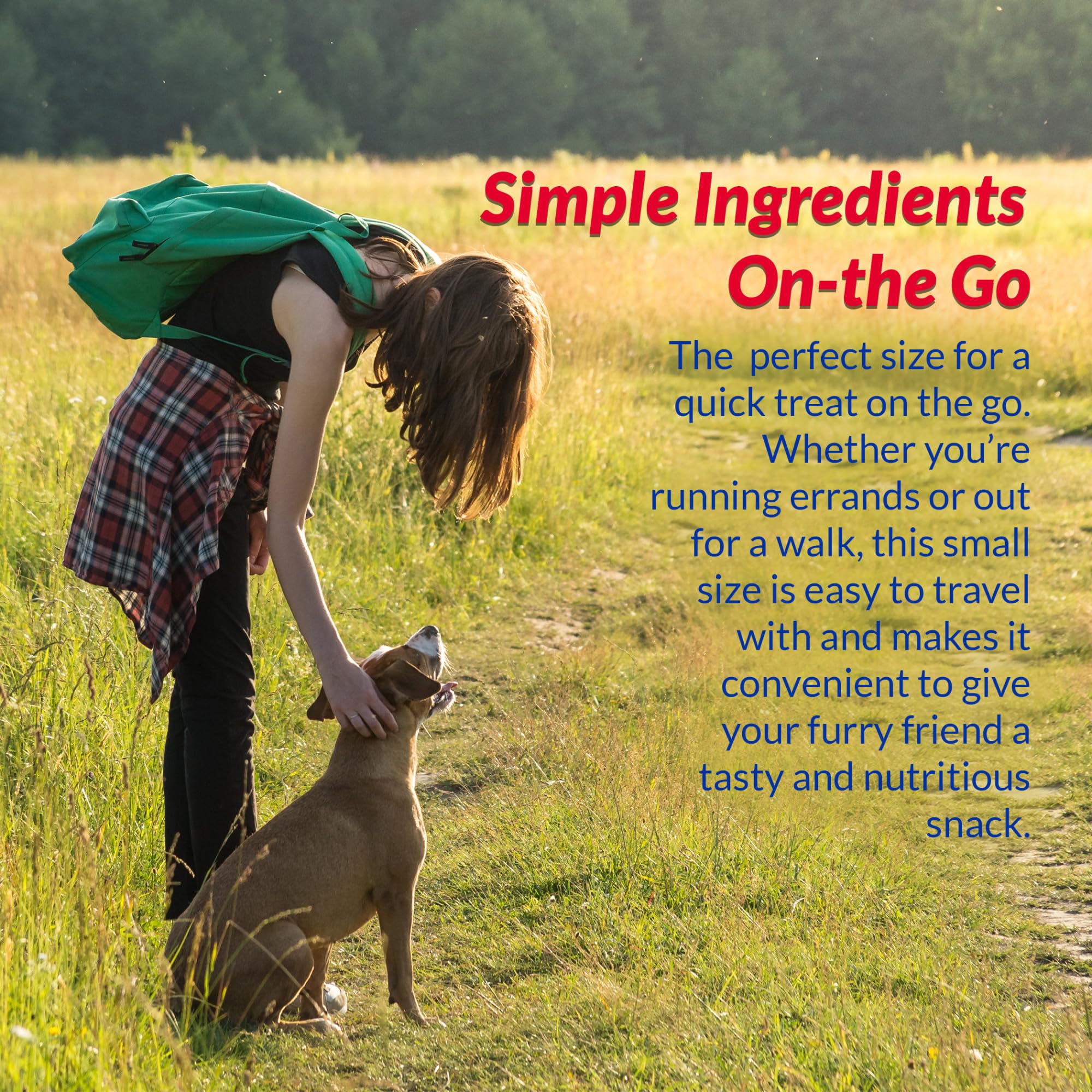 INABA Churu Meal Topper for Dogs, Complete & Balance, Creamy, Lickable Purée Dog Food Topper, 0.5 Ounce Tube, 24 Tubes (4 per Pack), Chicken with Beef Recipe - Image 5