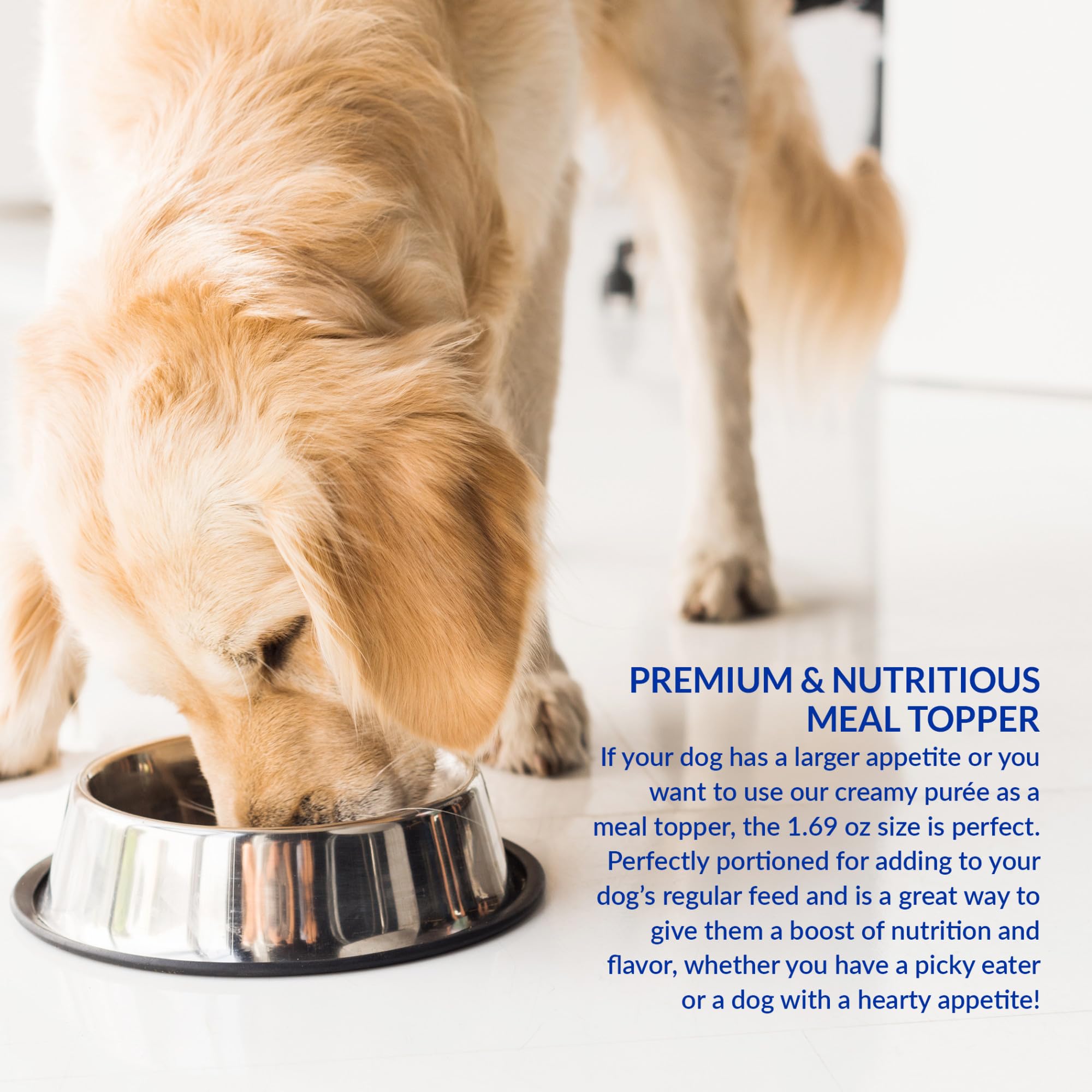 INABA Churu Meal Topper for Dogs, Complete & Balanced, Creamy, Lickable Purée Dog Food Toppers, 1.69 Ounce Tube, 18 Tubes (3 per Pack), Chicken with Cheese Recipe - Image 5