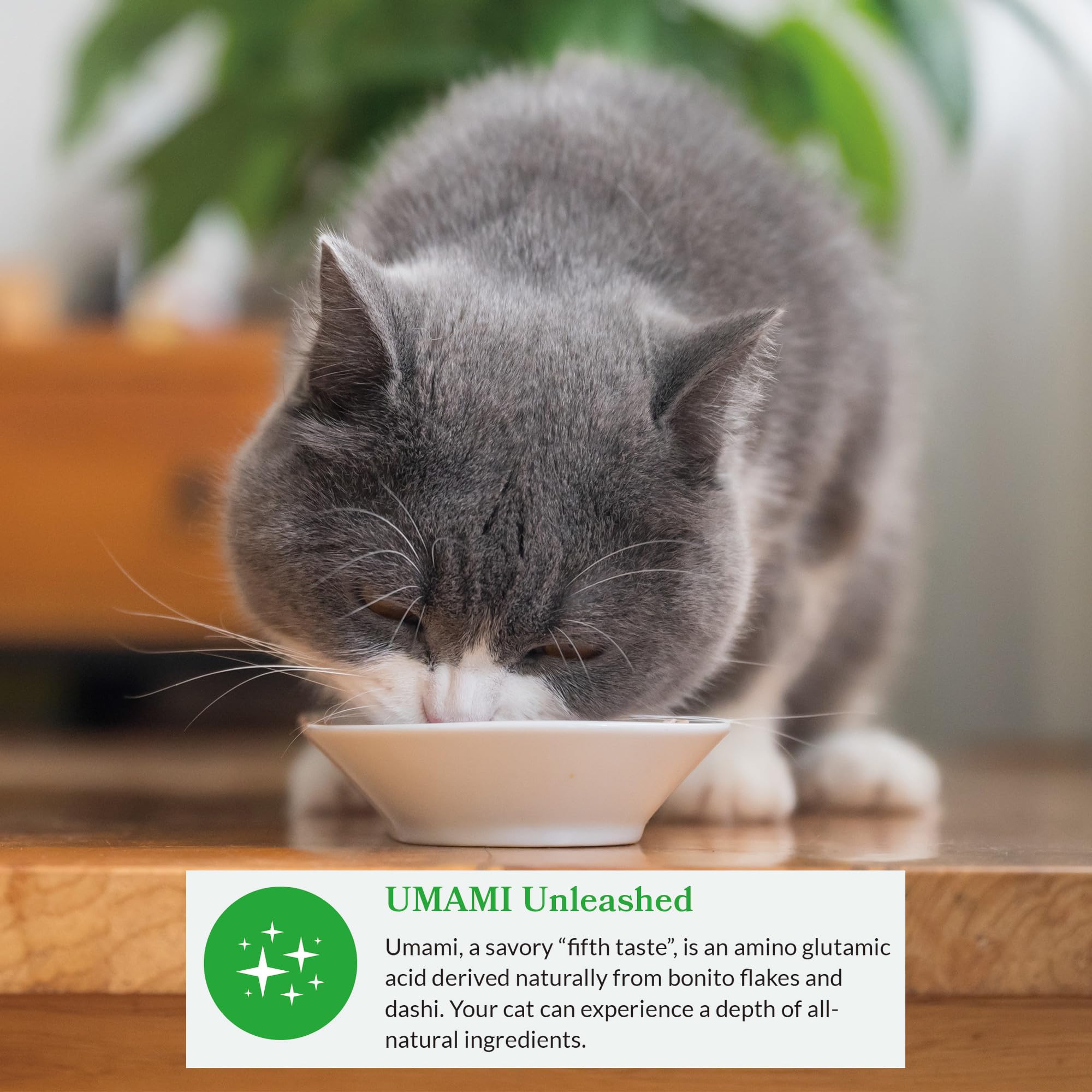 INABA Dashi Delights for Cats, Shredded Chicken with Bonito Flake Broth, 2.5 Ounce Cup, 12 Cups Total, Tuna Variety - Image 8